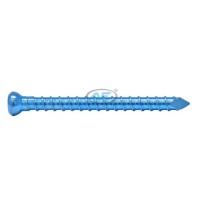 Titanium 4.9mm Interlocking Bolt